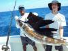 sailfish john s.jpg